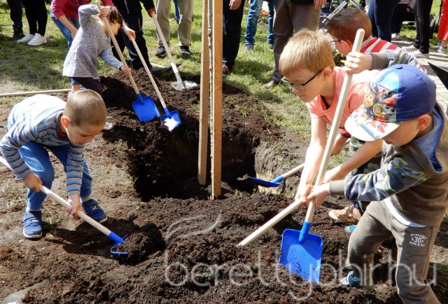 Életfát ültettünk 20